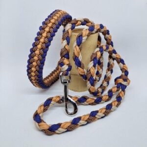 ensemble collier et laisse en paracorde et biothane dans les tons cuivre et bleu