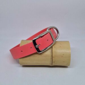 collier en biothane de couleur corail
