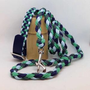 Ensemble collier et laisse bleu et vert fabriqué à la main par Boulipote and co en France