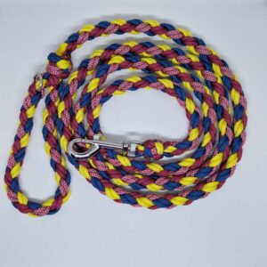 Laisse paracorde couleur bleu jaune vin fabriqué à la main par Boulipote and co en France