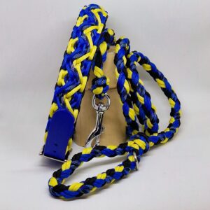 Ensemble de laisse et collier assortie fabriqué à la main et en France. Type de tressage pour le collier en mystique. Couleur bleu electric, jaune et noir.