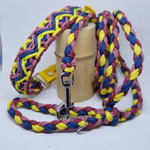 Ensemble de laisse et collier assortie fabriqué à la main et en France. Type de tressage pour le collier en mystique. Couleur jaune, bleu nuit, vin et diamon vin