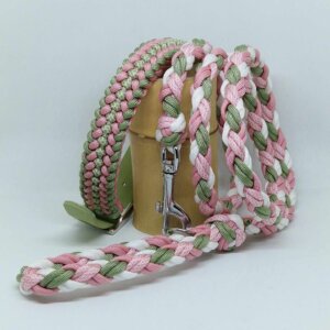 Ensemble collier et laisse assortis, tressés à la main en paracorde résistante. Un duo coloré, original et solide, conçu pour allier style, confort et sécurité lors des balades. Chaque création est unique, réalisée avec soin dans un esprit artisanal et personnalisé.