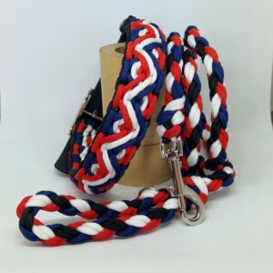 Ensemble collier et laisse assortis, tressés à la main en paracorde résistante. Un duo coloré, original et solide, conçu pour allier style, confort et sécurité lors des balades. Chaque création est unique, réalisée avec soin dans un esprit artisanal et personnalisé.