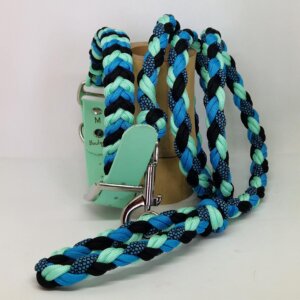Ensemble collier et laisse assortis, tressés à la main en paracorde résistante. Un duo coloré, original et solide, conçu pour allier style, confort et sécurité lors des balades. Chaque création est unique, réalisée avec soin dans un esprit artisanal et personnalisé.